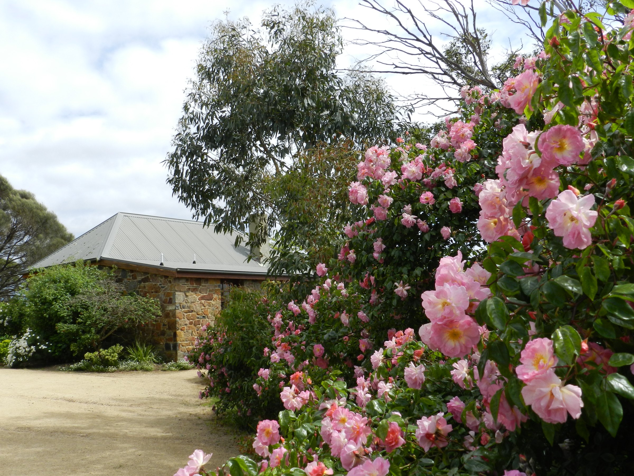 Wagners Cottages photo 3