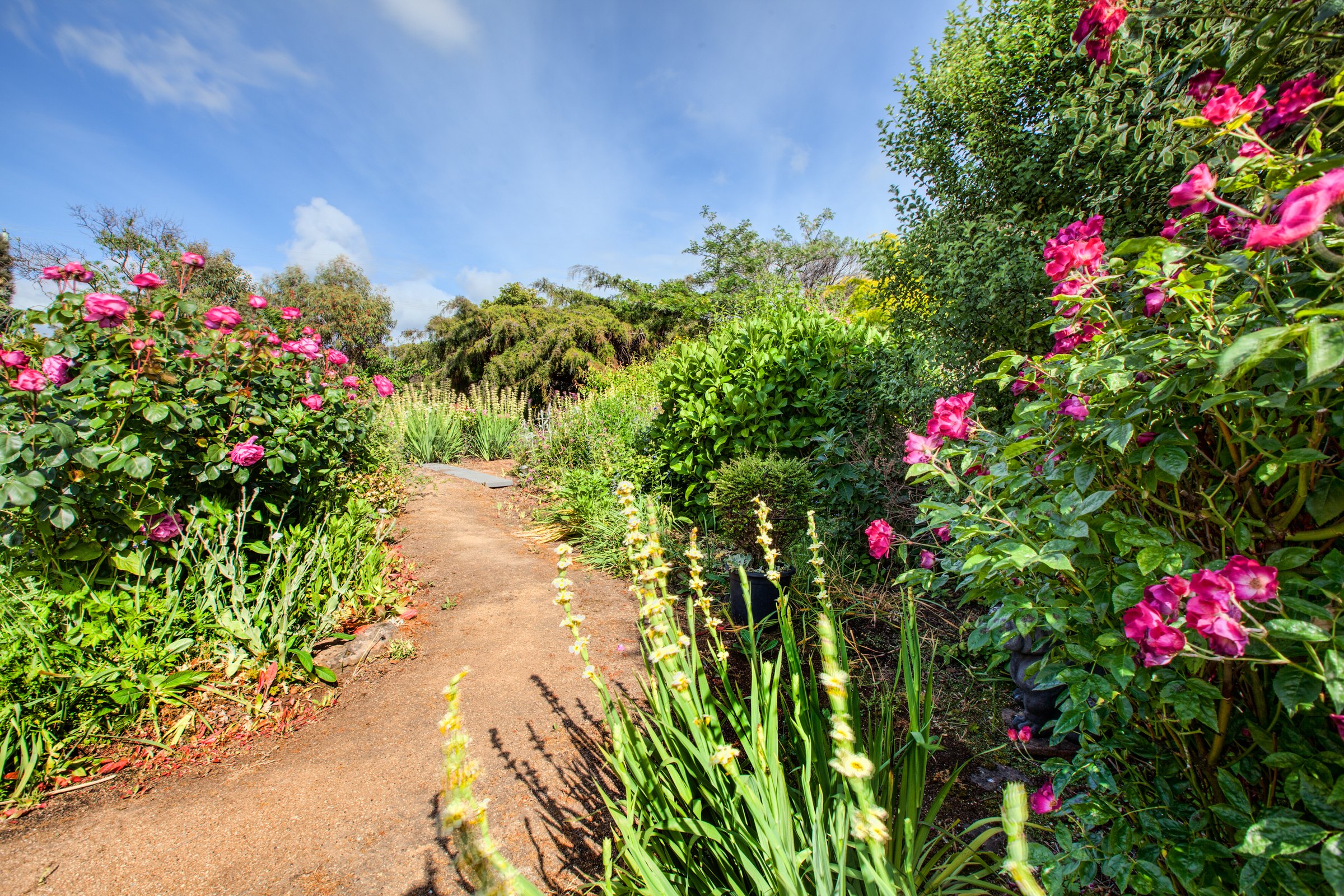 Wagners Cottages photo 7