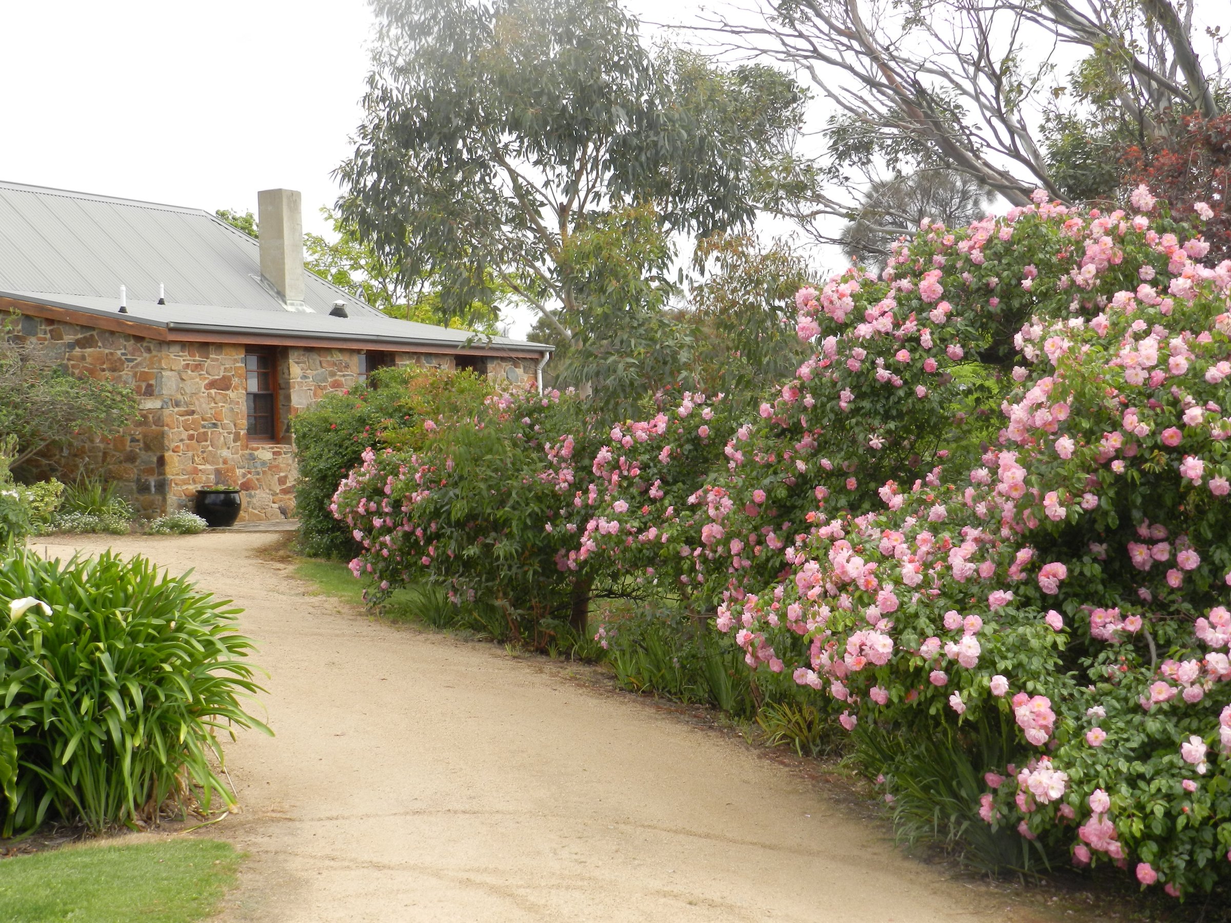 Wagners Cottages photo 4