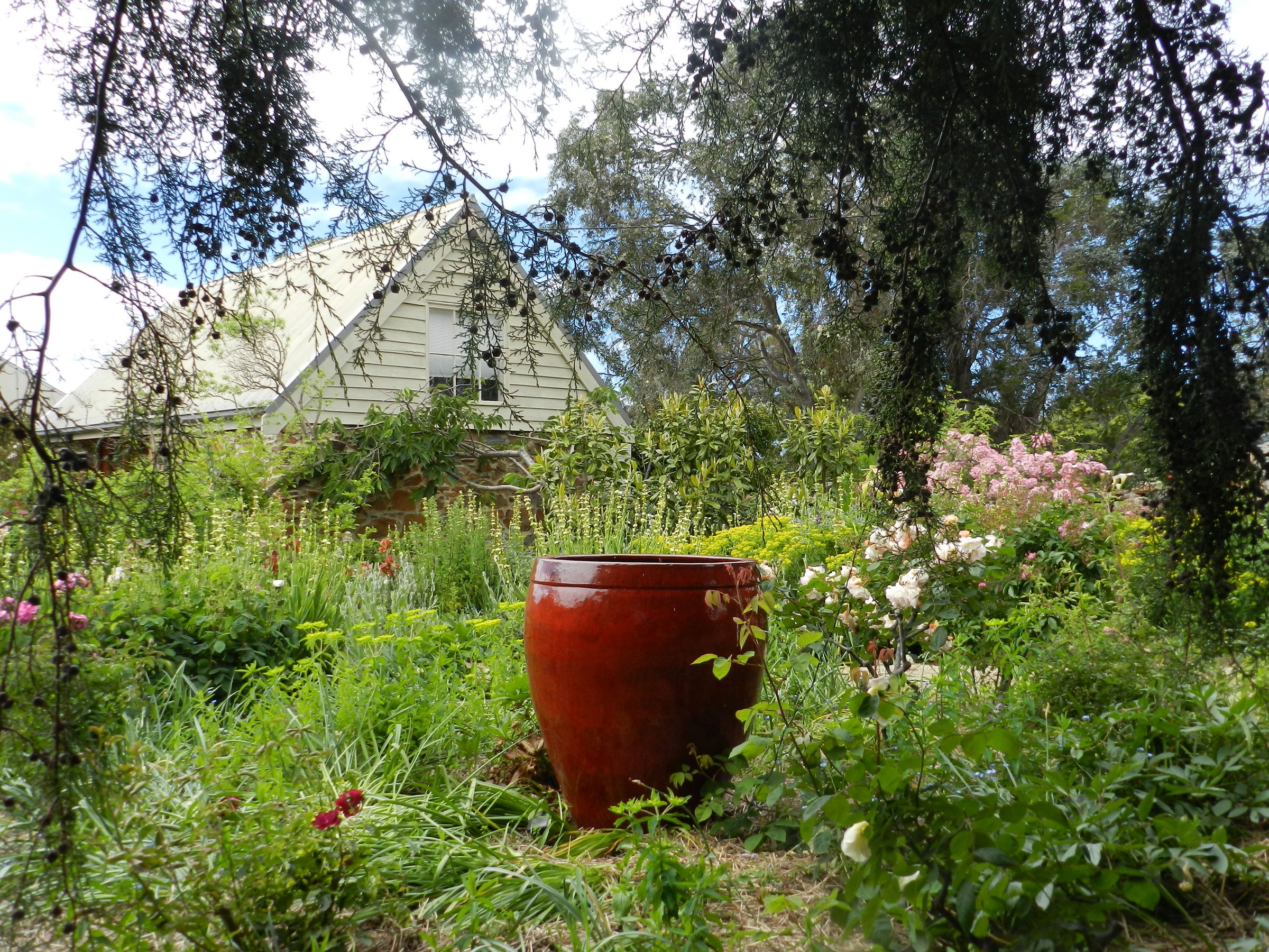 Wagners Cottages photo 5