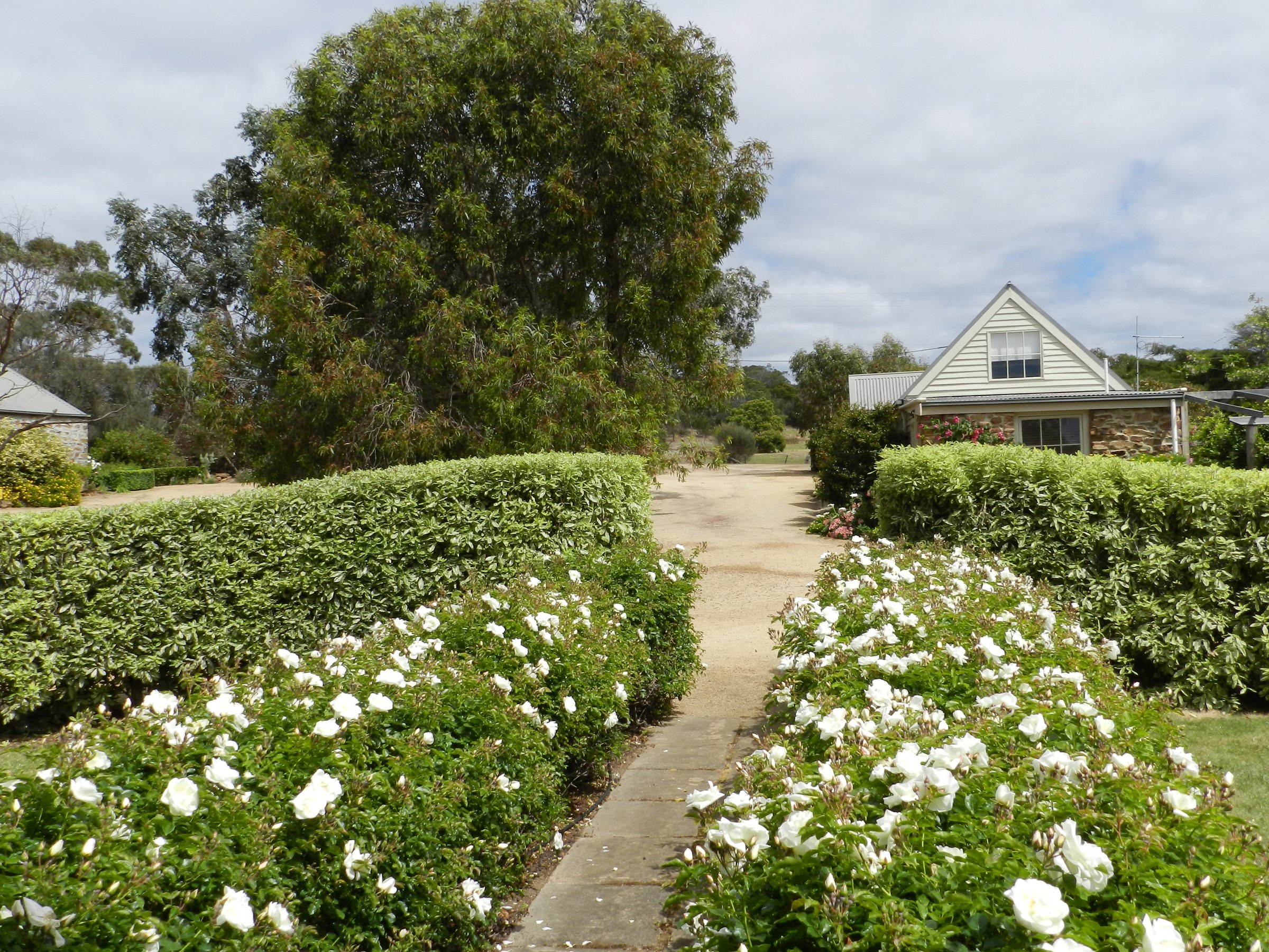 Wagners Cottages photo 6